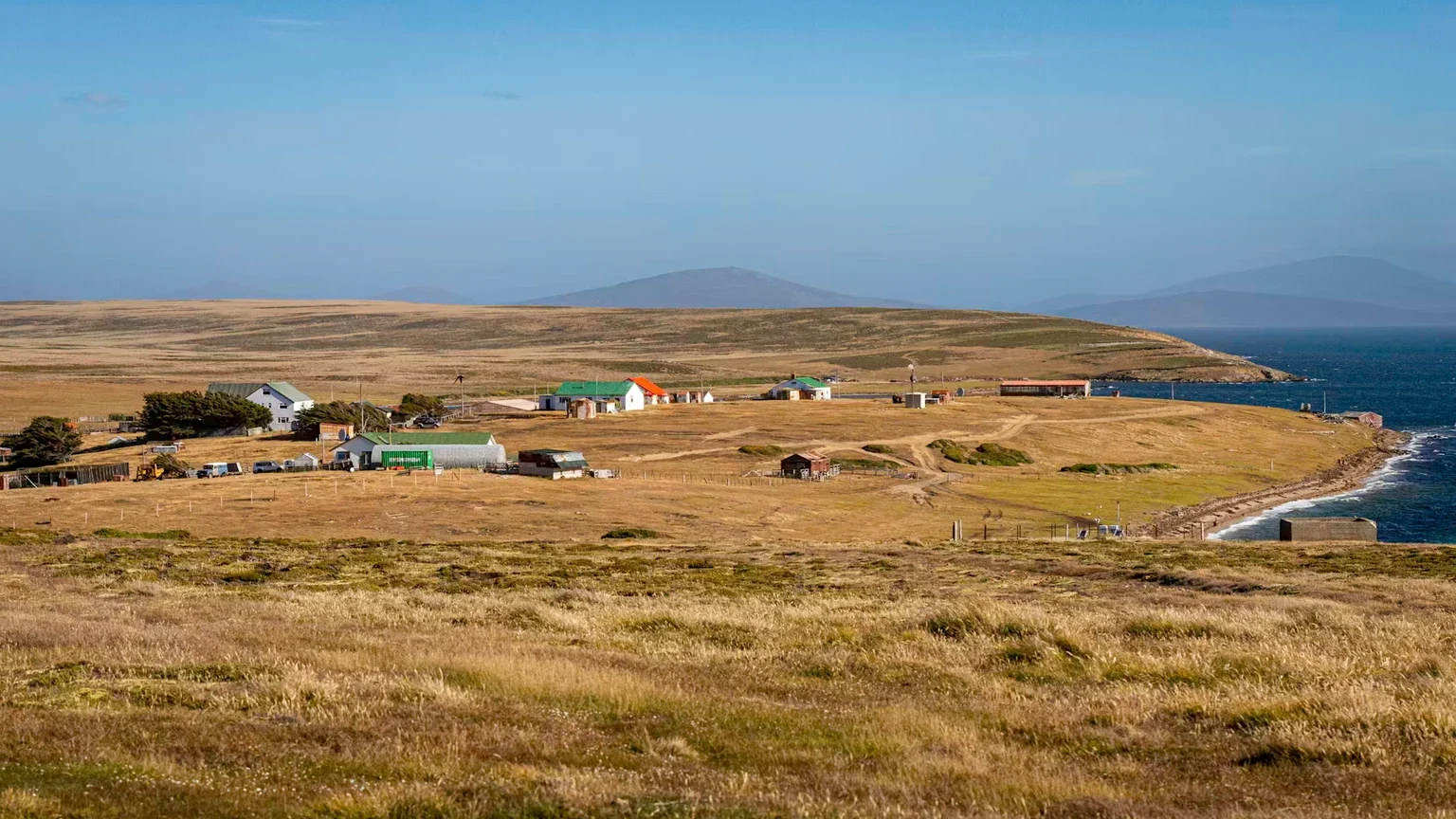 Falkland Adaları'nda yaban hayatı ve az nüfus gerçeği haber görseli