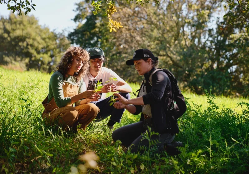 Eater, New York’un Hudson Valley’den South Texas kıyısına kadar resortlerde balık tutma, mantar toplama ve focaccia yapımı atölyeleri sundu haber görseli