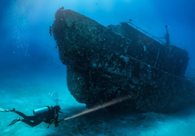 Seabed mirası trol tekneleri ve artan okyanus asitliği nedeniyle kitlesel tahribe uğradığını The Art Newspaper duyurdu haber görseli