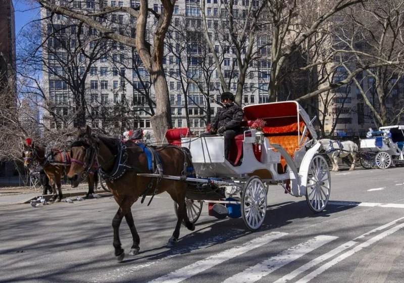 NYC’nin Atlı Faytonları 2028’e Kadar Kaldırılıyor haber görseli