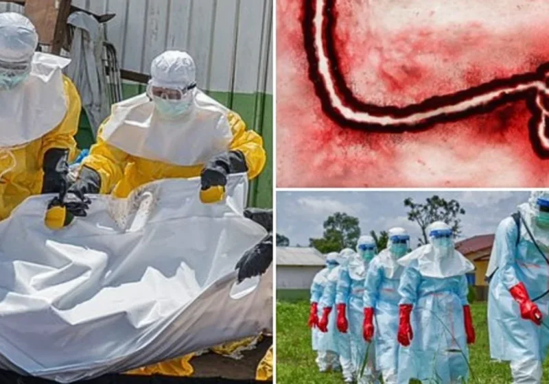 ATTA: Afrika’daki Ebola salgınına ilişkin bölgesel koordinasyon ve vaka takibi vurgulandı haber görseli